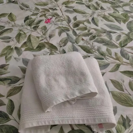 Turisticas Centro Con Aire Acondicionado 民宿 毕尔巴鄂